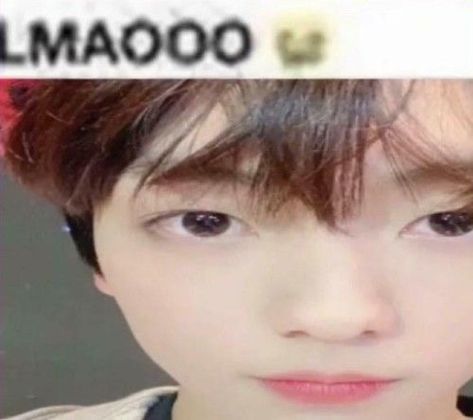 Txt Funny, Cutest Bunny Ever, Moa Collection, Kpop Funny, Kpop Memes, Reaction Pictures, Lee Know, Seventeen, Funny Memes