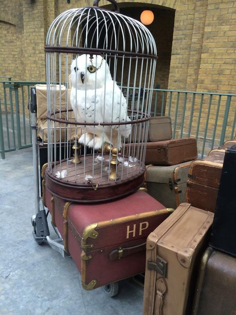 Harry Potter Suitcase, Harry Potter Trunk, Hery Potter, Harry Potter Christmas Decorations, Harry Potter Halloween Party, Art Harry Potter, Harry Potter Owl, Harry Potter Room Decor, Harry Potter Bedroom