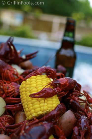 Crawfish Boil, the Ultimate Social Cookout Sausage Boil, Potatoes And Smoked Sausage, Crab Boil, Crawfish Boil, Creole Recipes, Andouille, Cajun Recipes, Jambalaya, Smoked Sausage