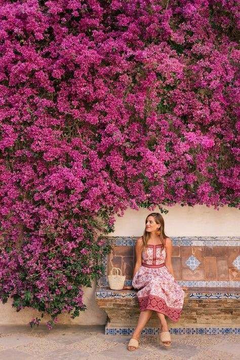 Nine Favorite Things | halfbakedharvest.com Golden Morning, Alcazar Seville, Gal Meets Glam Collection, Julia Berolzheimer, Seville Spain, Travel Photography Inspiration, Gal Meets Glam, Foto Art, Trik Fotografi