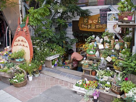 Studio Ghibli Store in Kamakura, Japan I WILL GO HERE (and.... spend a lot of the cashmoney) worth it HELL YEAH Studio Ghibli Store, Ghibli Store, Japan Vibes, Habbo Hotel, Lots Of Plants, Japan Aesthetic, Aesthetic Japan, Kamakura, Ghibli Movies