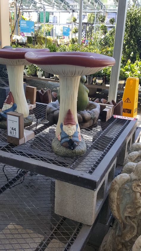 Mushroom bird bath with gnome Mushroom Bird Bath, Bird Bath, Stuffed Mushrooms, Yard, Bath, Outdoor Decor, Home Decor, Home Décor