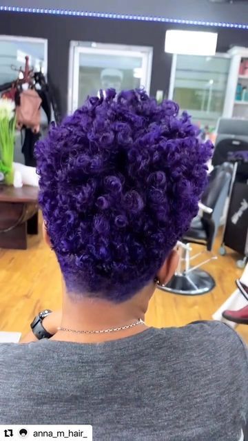 Purple Twa Natural Hair, Black Women Purple Hair, Purple Pixie Cut Black Women, Tapered Twa Hairstyles, Purple Short Hair, Curly Purple Hair, Purple Afro, Purple Natural Hair, Purple Pixie Cut