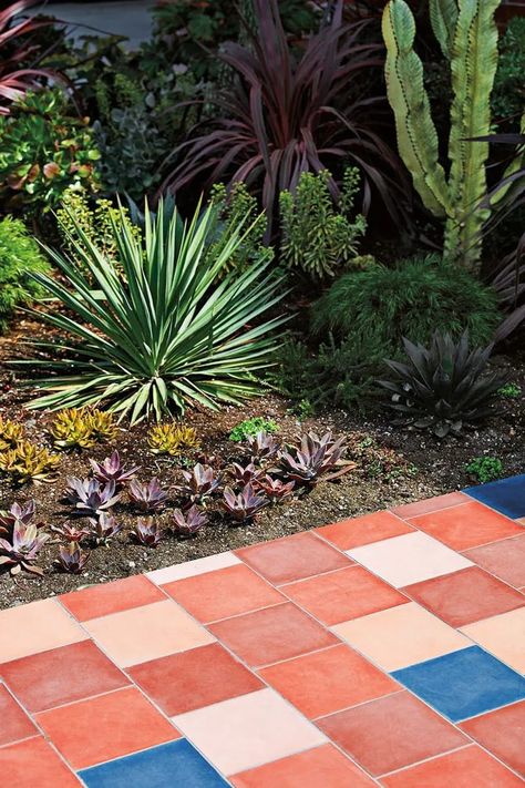 Red and blue tiles next to plants. Tile Walkway, Desert Shade, Paint Concrete Patio, Cement Patio, Painted Concrete Floors, Concrete Light, Painted Patio, Patio Tiles, Outdoor Living Rooms