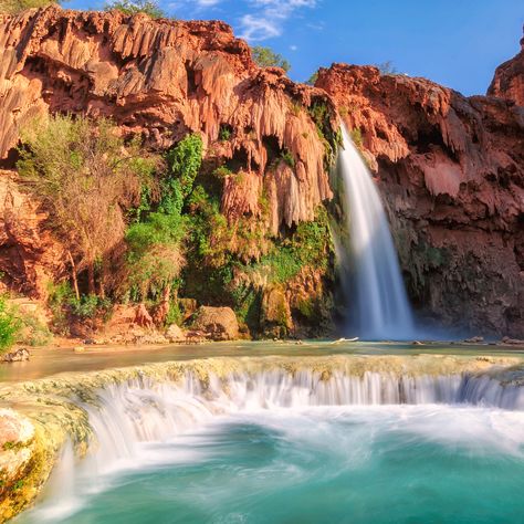 The 15 Coolest Waterfalls in America (You Can Actually Swim In) Havasu Canyon, Havasupai Falls, Beautiful Vacation Spots, Havasu Falls, Arizona Hiking, Water Fall, Resort Pools, Lake Havasu, Beautiful Vacations