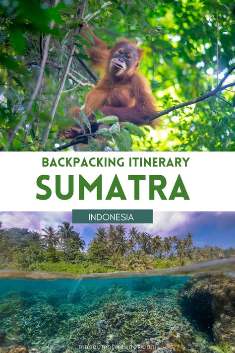 Indonesia Travel Itinerary, Sumatra Travel, Backpacking Indonesia, Asia Vacation, Borneo Travel, Lake Toba, North Sumatra, Backpacking Asia, Backpacking Adventure