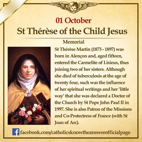 St Theresa Of Avila, Happy Feast Day, Catholic Theology, Happy Feast, Catholic Memes, Saint Therese, Catholic Beliefs, St Teresa, Catholic Education