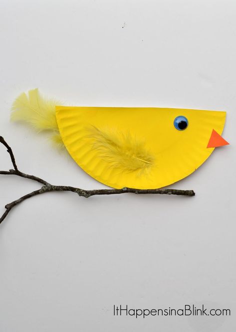 Paper Plate Bird, Bird Crafts For Kids, Bird Crafts Preschool, Birds For Kids, Bird Craft, Toddler Arts And Crafts, Diy Projects For Kids, Bird Crafts, Paper Plate Crafts