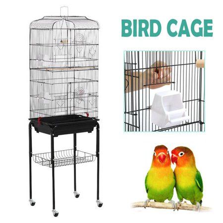 Finch Aviary, Large Parrot Cage, Cockatiel Cage, Paint Frame, Cages For Sale, Bird Cage Stand, Small Bird Cage, Parakeet Cage, Pet Bird Cage