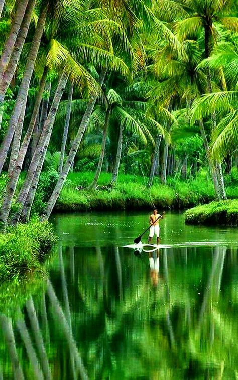 Lush life Kerala Backwaters, The Garden Of Words, Kerala Travel, Sup Stand Up Paddle, Stand Up Paddle Boarding, Sup Yoga, God's Own Country, Kerala India, Paddle Board