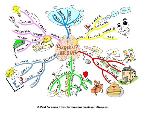 curious-brain-mind-map-10 Best Mind Map, Mind Map Examples, Mind Map Art, Brain Drawing, خريطة ذهنية, Brain Based Learning, Brain Test, Brain Mapping, Brain Booster