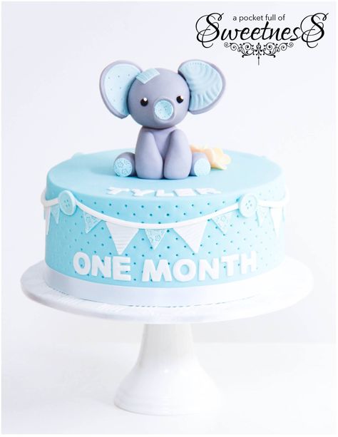 Baby Blue elephant themed one month birthday cake created by A Pocket Full of Sweetness Baby Birthday Cake, Happy One Month, 1 Month Baby, One Month Baby, Birthday Cakes For Teens, Baby Boy Cakes, Baby Birthday Cakes, Happy 30th Birthday, Baby Boy Birthday