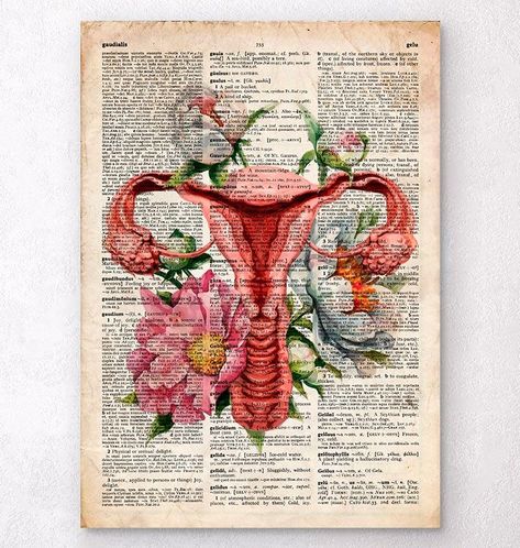 Uterus anatomy diagram art on a dictionary page – Codex Anatomicus Uterus Anatomy, Codex Anatomicus, Anatomy Of Human, Victorian Home Ideas, Heart Anatomy, Vintage Chalkboard, Brain Art, Cabinet Medical, Dictionary Page