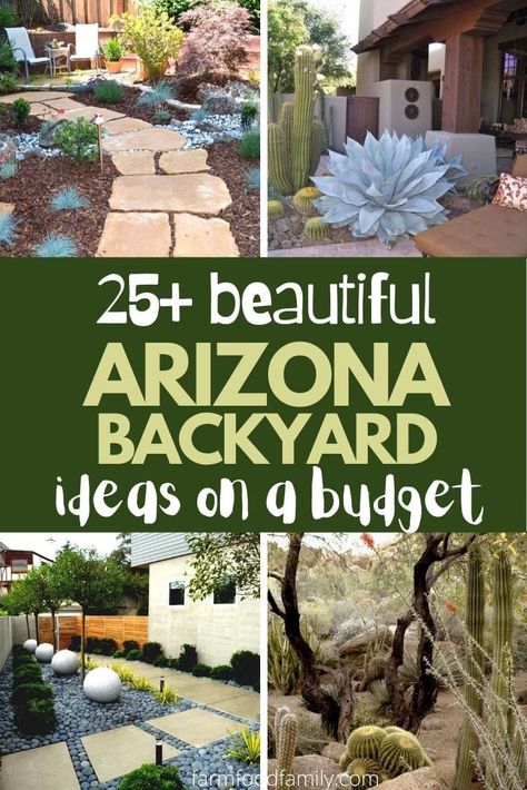 There are thousands of ways to landscape an Arizona backyard but you have to be very keen with what landscaping elements to use. Backyard Arizona, Sustainable Yard, Phoenix Backyard, Landscaping Elements, Desert Landscape Front Yard, Arizona Backyard Landscaping, Year Round Garden, Desert Landscaping Backyard, Arizona Plants