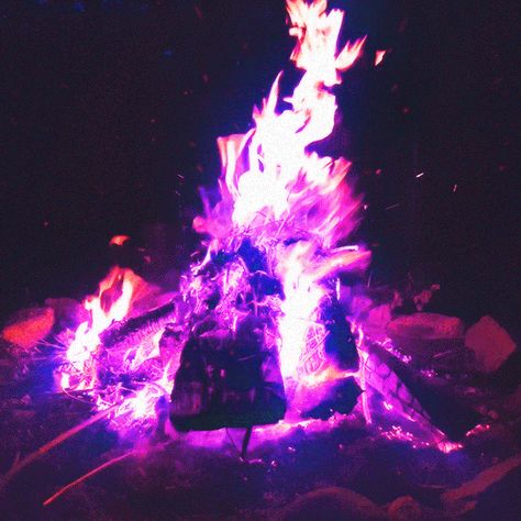 Campfire Purple Fire Gif, Void Design, Fire Gif, Winter Moon, Purple Fire, Rose Trees, Neon Aesthetic, Instagram Theme, Aesthetic Gif