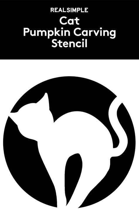 Cat Pumpkin Carving Stencil | Easily spooked by ghouls, goblins, and all things Halloween? Opt for this cat stencil, which is more cute than creepy. Pumpkin Carving Cat, Disney Halloween Crafts, Best Pumpkin Carving Ideas, Easy Pumpkin Stencils, Cat Pumpkin Stencil, Best Pumpkin Carving, Cat Stencil, Cat Pumpkin Carving, Pumpkin Carving Stencil