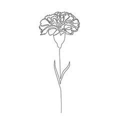 Carnation Outline Simple, Carnation Flower Line Art, One Line Carnation Tattoo, Carnation Flower Tattoo Simple, Carnation Line Tattoo, One Line Carnation, Marigold Line Drawing, Carnation Line Drawing, Carnation Drawing Simple