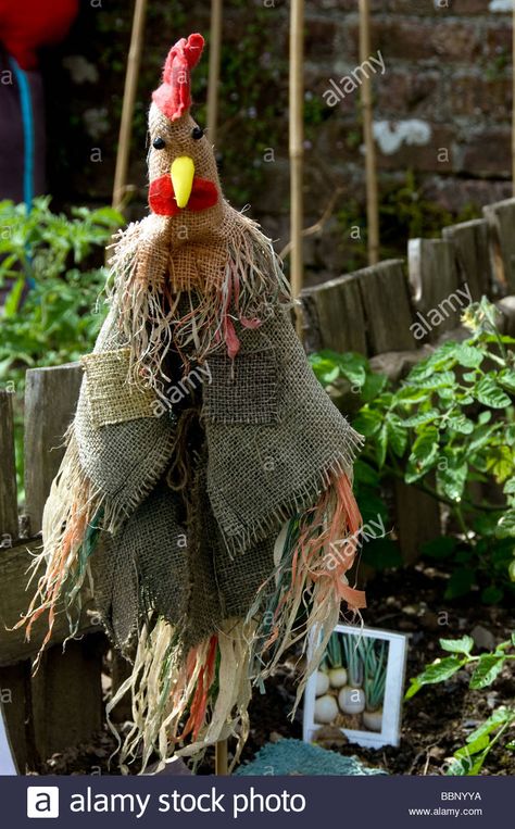 Chicken scarecrow in vegatable patch Stock Photo Scarecrow Ideas, Leaf Craft Activities, Primitive Scarecrows, Scarecrow Festival, Scarecrows For Garden, Make A Scarecrow, Scarecrow Crafts, Halloween Scarecrow, Farm Crafts