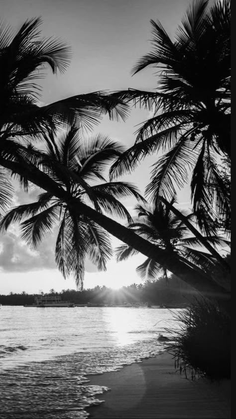 Ocean Aesthetic Black And White, Ocean Black And White Aesthetic, Black And White Beach Wallpaper, Photo Aesthetic Noir, Wigets Pictures Aesthetic Black, Beach Black And White Aesthetic, Black And White Aesthetic Nature, Black Summer Wallpaper, Grey Pictures Aesthetic