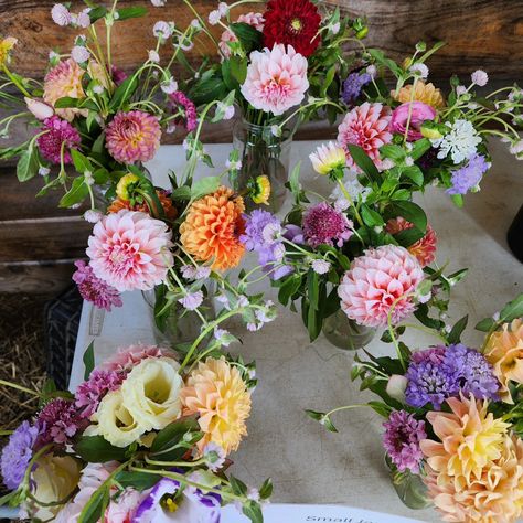 ***SPECIAL on ZINNIA BUNCHES at The Flower Shack*** Zinnia bunches 10 each or 2 for 15 We have the first of the dahlia bunches available this weekend, too! Hours: Friday 9am-6pm & Saturday 9am-1pm Mixed Seasonal Bouquets Jar Arrangements Lisianthus bunches Zinnia bunches Dahlia bunches Sunflower bunches Come on our to The Flower Shack to grab yourself a beautiful bouquet of our farm fresh flowers. Don't forget to get some flowers for your friends and family too. The Flower Shack... Zinnia Wedding Bouquet, Seasonal Bouquets, Jar Arrangements, Zinnia Bouquet, Beautiful Bouquet, Bar Mitzvah, Farm Fresh, Cut Flowers, Fresh Flowers