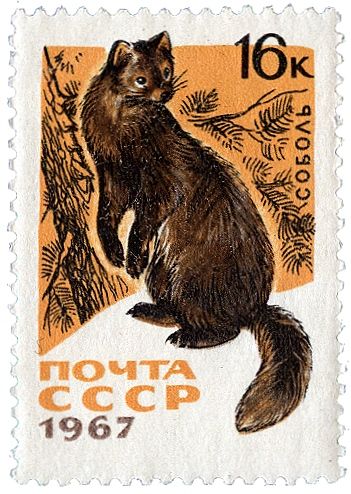 Stamp Lamp, Postage Stamp Design, Calendar Stamps, Postcard Stamps, Cat Stamp, Old Stamps, Mail Stamp, Postage Stamp Art, Vintage Postage