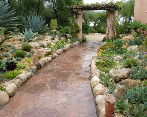 Green Thumb Nursery - Southern California Garden Centers Garden Ideas South Africa, Waterwise Landscaping, Waterwise Garden, California Garden, Backyard Porch, Diy Landscaping, Water Wise, Landscaping Tips, Small Garden Design