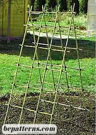 Classic Trellis Decorating Ideas | Garden Tutorial for Newbies Tomato Trellis, Diy Garden Trellis, Trellis Ideas, Bamboo Trellis, Garden Vines, Bamboo Garden, Veg Garden, Home Vegetable Garden, Vegetable Garden Design