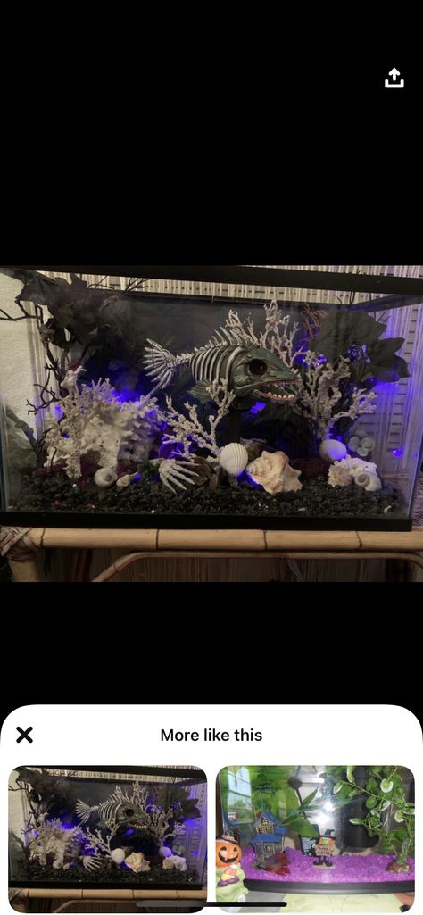 Goth Fish Tank, Goth Aquarium, Halloween Aquarium, Halloween Fish Tank, Fake Aquarium, Aquarium Diy, Fish Room, Reptile Room, Fishing Room