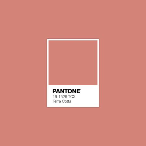 PANTONE 16-1526 TCX Terra Cotta • Download Free Adobe Illustrator Palette in .ase Format • Thank you! • #forecast #colorscheme #pantonecolors #trendforecasting #trendforecast #pantonecolor #fashionforecast #fashionforecaster #colortrends #colourschemes #patterncollection #colorpalettes #colorschemes #colourtrends #colourpallette #colortheory #colorwheel #colorinspiration #colourscheme #colorpalette #colourpalette #terracotta Pantone Terracotta Colour Palettes, Terracotta Pantone, Pastel Terracotta, Pantone Orange, Colour Reference, Pantone Palette, Pantone Colour Palettes, Pantone Colors, Colour Board