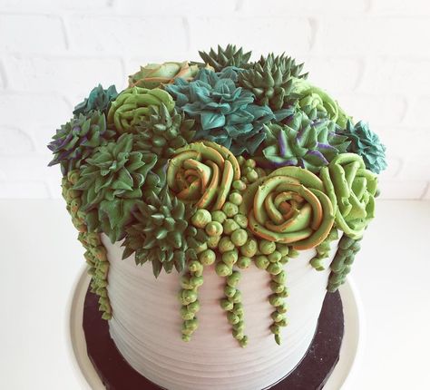 Succulent Cakes | POPSUGAR Food Succulent Desserts, Succulent Cakes, Succulent Cupcakes, Chocolate Hazelnut Cake, Succulent Cake, Cactus Cake, Frosting Techniques, Novelty Birthday Cakes, Hazelnut Cake