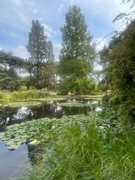 Cambridge Botanic Gardens is the perfect destination this summer Cambridge Botanical Gardens, Summer In England, Botanic Gardens, Mother Earth, Botanical Gardens, Cambridge, This Summer, England, Natural Landmarks