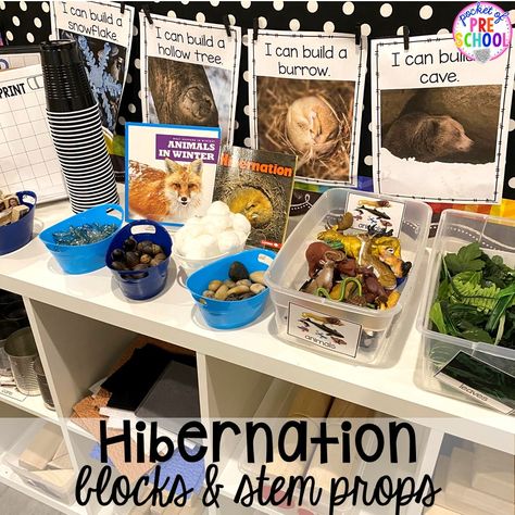 Bear Dramatic Play Preschool, Forest Animals Dramatic Play, Pre K Hibernation Activities, Winter Block Center Preschool, Winter Dramatic Play Ideas, Hibernation Preschool Theme, Nocturnal Animals Activities, Hibernation Preschool Activities, January Centers