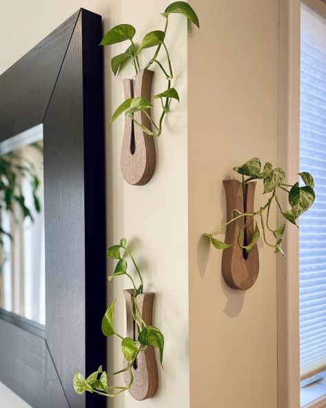 Hey, I found this really awesome Etsy listing at https://www.etsy.com/ca/listing/1089551548/propagation-station-vase-wall-mount Plants To Propagate, Wall Mounted Vase, Vase Wall, Upcycled Wood, Propagation Station, Hanging Plant Wall, Hanging Plant Holder, Woodworking Inspiration, Vertical Gardens