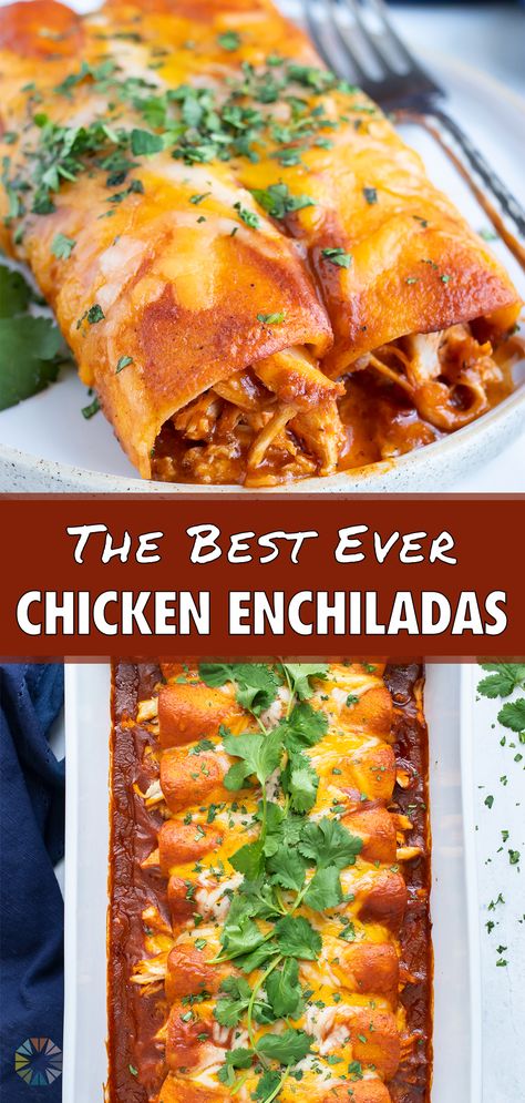 Mexican Food Recipes Enchiladas, Shredded Chicken Enchiladas, Easy Enchilada Recipe, Easy Chicken Enchilada Recipe, Easy Shredded Chicken, Chicken Enchiladas Recipe, Chicken And Cheese, Easy Enchiladas, Chicken Enchiladas Easy