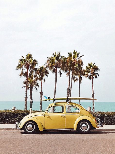 San Diego by Arielle Vey Yellow Car, Picture Collage Wall, Sign Ideas, Photo Wall Collage, Photo Vintage, Vw Bug, Picture Collage, Dream Board, Color Stories