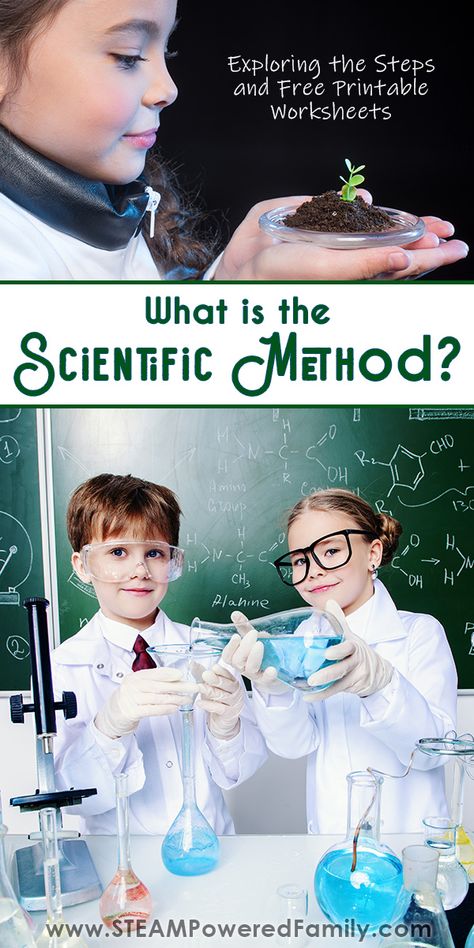 Scientific Method Worksheet Free, Stem Ideas For Kids, Scientific Method Steps, Homeschool Astronomy, Science Fair Board, Scientific Method Worksheet, Student Ambassador, Stem Activities For Kids, Science Fair Project