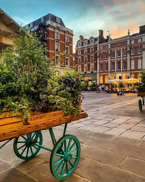 London on Instagram: “Beauty of convent garden🏡 Snap by📸@nicolesignanini  #londondisclosure #explorelondon #londonfoodie #londonphotography #loves_london…” Garden Snap, Convent Garden, Secret London, Uk Trip, London Photography, Instagram Beauty, Covent Garden, Uk Travel, London Uk