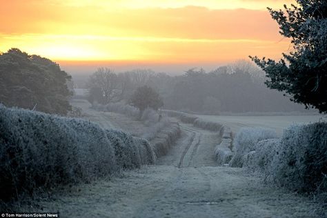 Cold and frosty morning Frosty Morning Aesthetic, Hozier Core, Nostalgia Christmas, English Winter, Aesthetic Country, Calming Pictures, England Aesthetic, Frosty Morning, The Sun Rises