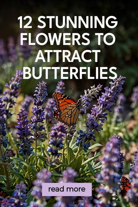 Transform your garden into a haven for butterflies with these best flowers for a butterfly garden. Attract beautiful butterflies and important pollinators by planting a variety of colorful and fragrant flowers in your outdoor space. Create an inviting environment that will not only bring butterflies but also enhance the beauty of your garden. Discover the perfect plants to attract these delicate creatures and watch them flutter around your butterfly-friendly garden. Let nature inspire you as you Flowers To Attract Butterflies, Flowers For Butterflies, Flowers That Attract Butterflies, Natural Smoothies, Butterfly Plant, Giant Butterfly, Plants That Attract Butterflies, California Plants, Butterfly Plants