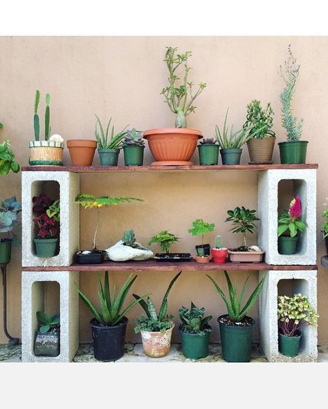 DIY plant stand is the best way to display greeneries in your home. You can put them inside or outside your house. Click to read more about DIY plant stand! Plants Shelf, Cinder Block Garden, Outdoor Living Diy, Jardim Diy, Window Garden, Outside Plants, Herbs Garden, Indoor Herb, Potting Table