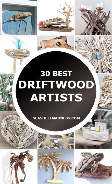 Driftwood Ideas Decor, Driftwood Garden Ideas Decor, Driftwood Sea Turtle, Drift Wood Art Wall Hangings, Driftwood Plant Hanger Diy, Driftwood Art Ideas Diy Projects, Drift Wood Crafts Ideas, Driftwood Craft Ideas, Drift Wood Crafts Diy