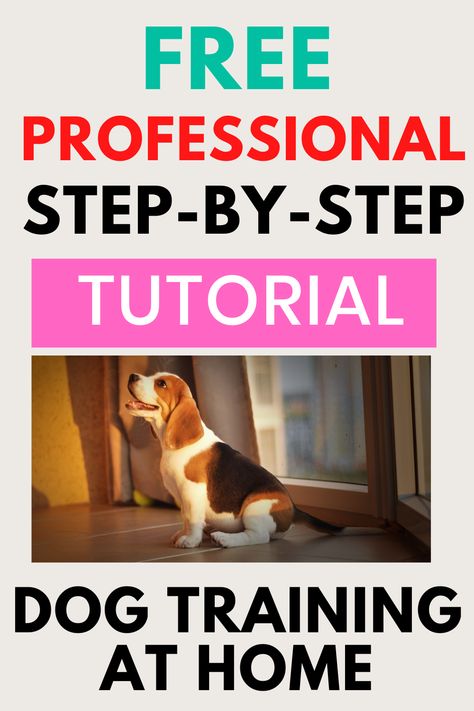 Dog Training at Home Dog Training Tips Obedience, Dog Training Obedience Puppies, Shih Tzu Training, Dog Biting Training, Dog Training Barking, Corgi Puppies, Welsh Corgi Puppies, Dog Behavior Problems, Dogs Training