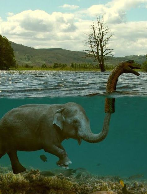 Silly Humans, They Believe Anything… Funny Commercial Ads, Funny Commercials, Loch Ness Monster, Elephant Love, An Elephant, Digital Art Illustration, Pics Art, 귀여운 동물, I Smile