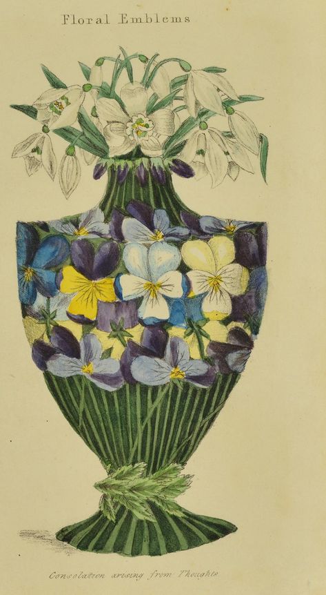 Bouquet Illustration, Victorian Flowers, Language Of Flowers, Vintage Vase, Copyright Free, Botanical Illustration, Garden View, Pansies, Botanical Prints