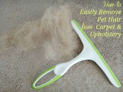 Use a squeegee to pick up pet hair from carpets and furniture. Pants Hacks, Clean Baking Pans, Cleaning Painted Walls, Dog Enrichment, Glass Cooktop, Deep Cleaning Tips, Pet Hair Removal, Cleaning Ideas, Simple Life Hacks