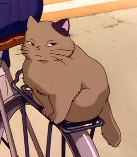 102 best images about whisper of the heart on Pinterest | Heart ... Mischievous Cat, Whisper Of The Heart, The Cat Returns, Studio Ghibli Movies, Studio Ghibli Art, Ghibli Movies, Ghibli Art, Anime Animals, Howls Moving Castle