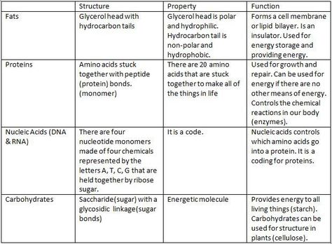 Bio Molecules Notes, Macro Molecules Notes, Biology Macromolecules, Macromolecules Biology, Macro Molecules, Biological Molecules, Understanding Macros And Micros, Past Questions, Basic Anatomy