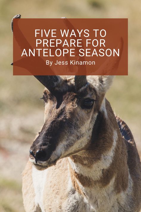 Five Ways to Prepare for Antelope Season Antelope Hunting, Duck Hunting Dogs, Conservation Activities, Deer Hunting Season, Deer Hunting Tips, Duck Hunting Gear, Deer Hunting Gear, Hunting Tips, Deer Hunters