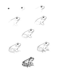 Realistic Frog Drawing Lesson Bullfrog Drawing, Frog Diy, Frog Illustration, Drawing Lessons For Kids, Frog Drawing, Drawing Lesson, Frog Art, Drawing Lessons, Step By Step Drawing