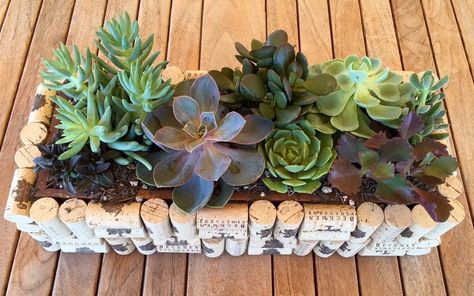 Wine Cork Planter, Wine Diy Crafts, Cork Planters, Wine Cork Diy Crafts, Wine Cork Projects, Cork Crafts Diy, Wine Cork Diy, Cork Projects, Cork Diy